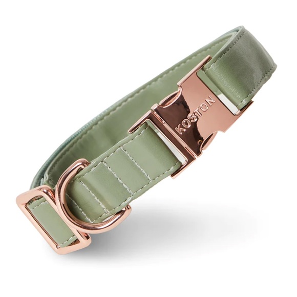 NWOT Koston SET M/L Dog Collar and Leash Set in sage green - Picture 3 of 14